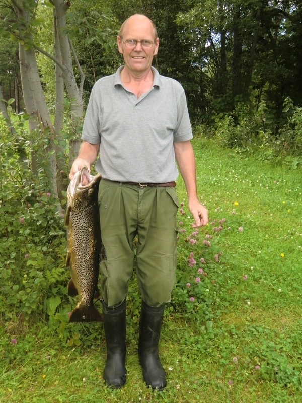 Camping med Grillplats i Täng