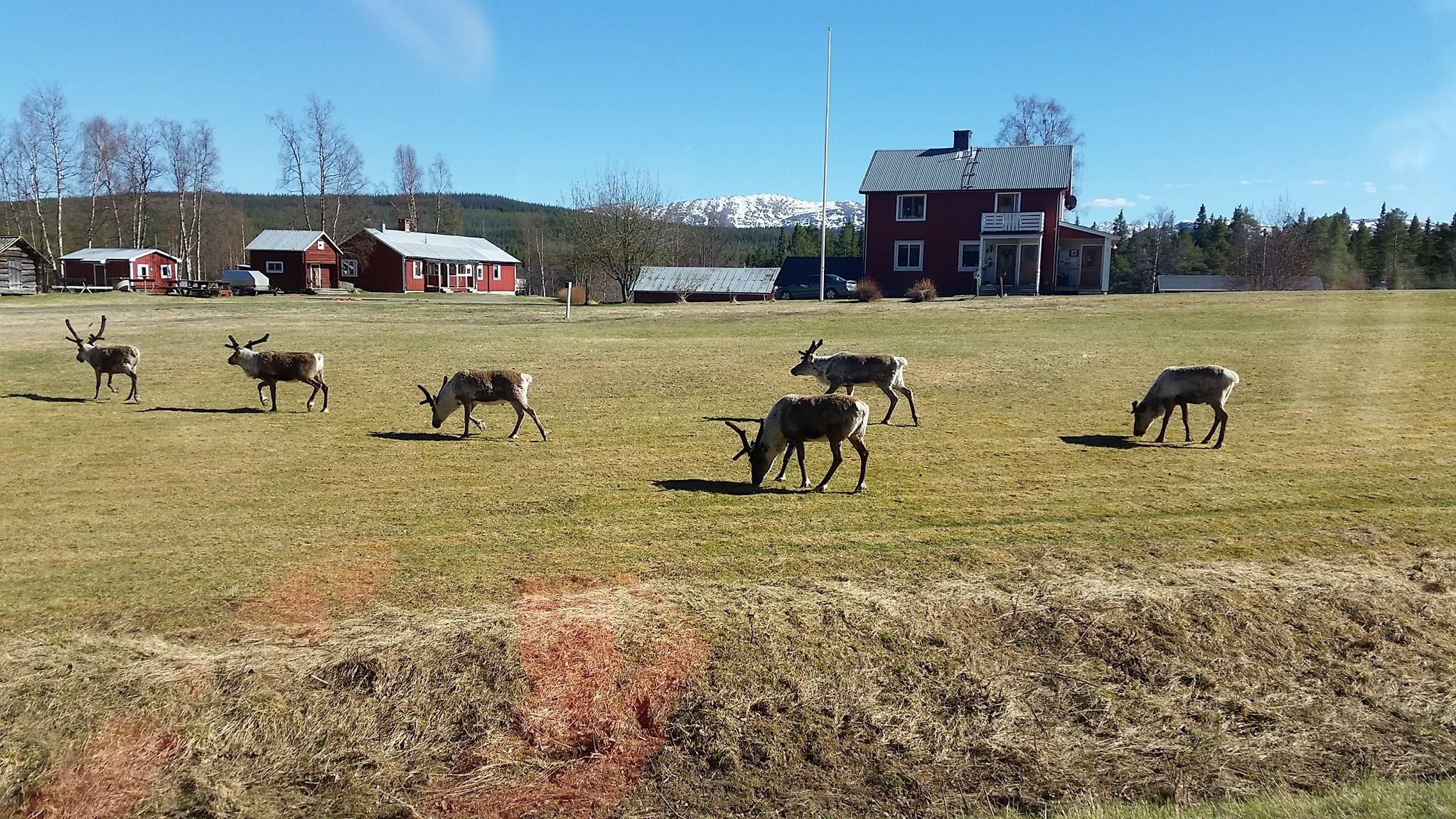 Prisvärd camping med Tältplats i Härjedalen